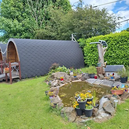 Log Кемпинг *