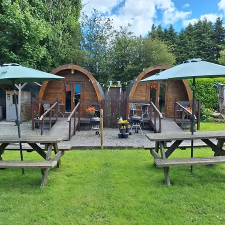 Log Kamp alanı Kells (Meath)